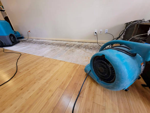 Reliable Basement Flood Cleanup contractor in Tulare, CA by Hirex Water Damage